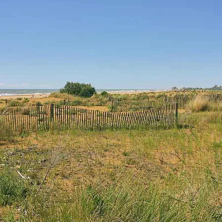 Daire One Bedroom Flat In A With Swimming Pool